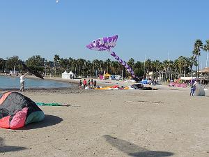 2024 11 02 EN FLANANT SUR SANARY (102)